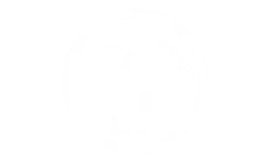 Secteurs automotive et transport